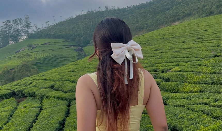 Places to visit Munnar Kerala